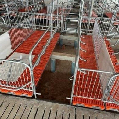 Chuồng heo nái đẻ - Model: DL24020102