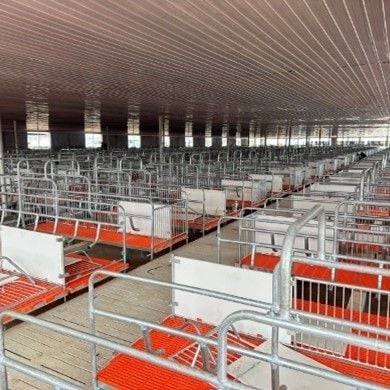 Chuồng heo nái đẻ - Model: DL24020102