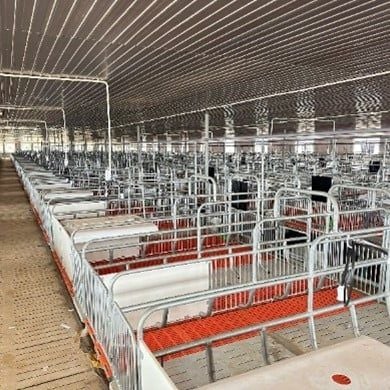 Chuồng heo nái đẻ - Model: DL24020102