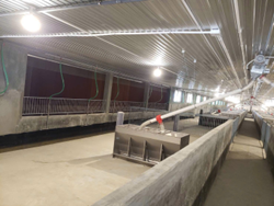 Máng ăn vuông cho heo thịt