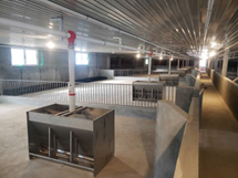 HỆ THỐNG ĂN TỰ ĐỘNG BẰNG VÍT TẢI