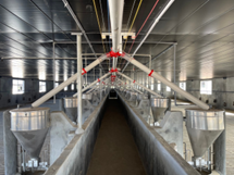 HỆ THỐNG ĂN TỰ ĐỘNG BẰNG VÍT TẢI