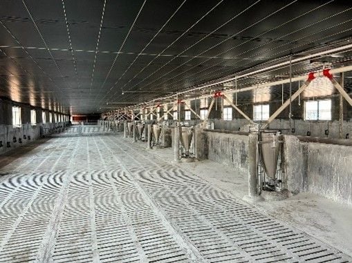 HỆ THỐNG ĂN TỰ ĐỘNG BẰNG VÍT TẢI