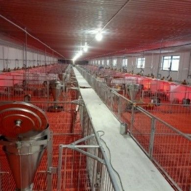 Chuồng heo cai sữa – Model: ISOMATRIC