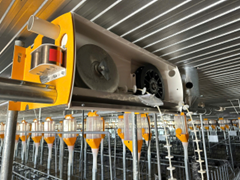 HỆ THỐNG ĂN TỰ ĐỘNG SKIOLD MINI-PORK