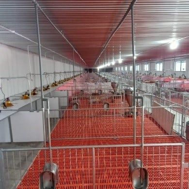 Chuồng heo cai sữa – Model: ISOMATRIC