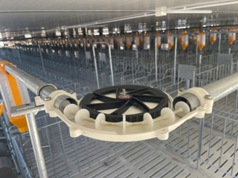 HỆ THỐNG ĂN TỰ ĐỘNG SKIOLD MINI-PORK