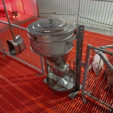 Chuồng heo cai sữa – Model: ISOMATRIC