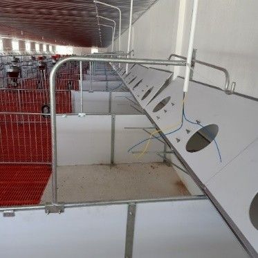 CHUỒNG HEO CAI SỮA