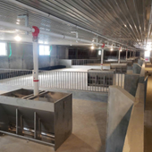 Hệ thống cấp thức ăn dạng vít tải