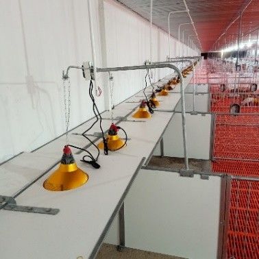 CHUỒNG HEO CAI SỮA