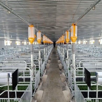 Hệ thống cấp thức ăn dạng đồng tiền (Minipork)