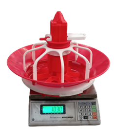 Hệ thống ăn tự động