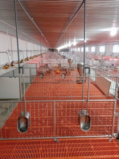 CHUỒNG HEO CAI SỮA