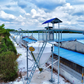 Hệ thống chuyển cám trung tâm