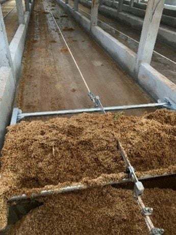 Hệ thống cào phân