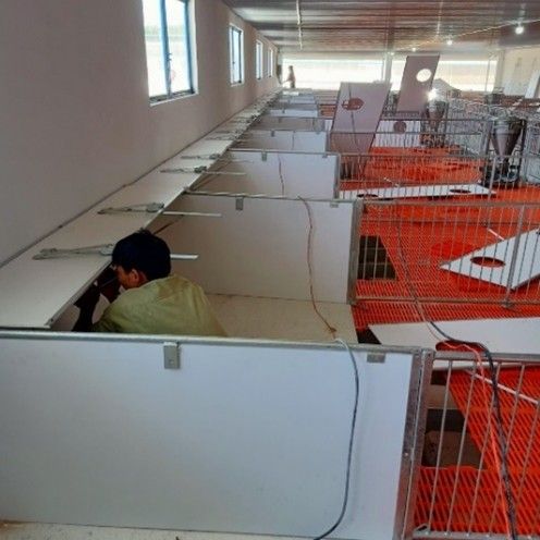 CHUỒNG HEO CAI SỮA