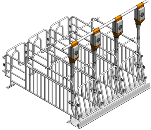 CHUỒNG HEO MANG THAI