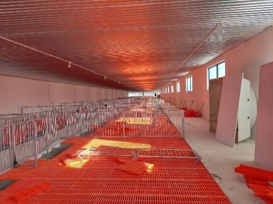 CHUỒNG HEO CAI SỮA