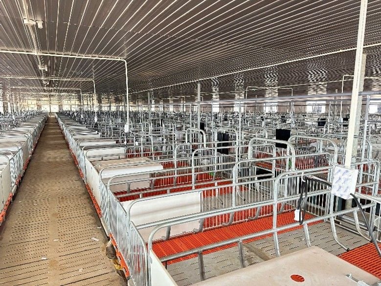 CHUỒNG HEO NÁI ĐẺ