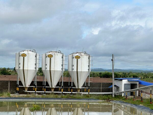 Kho thức ăn chăn nuôi