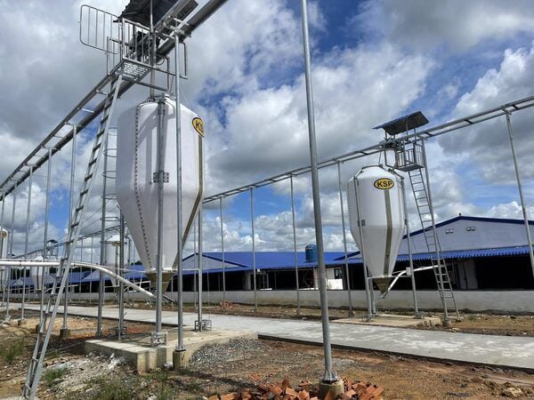 Kho thức ăn chăn nuôi