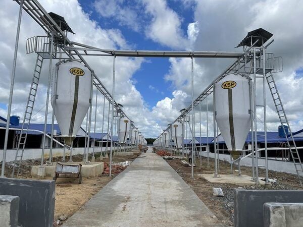 Kho thức ăn chăn nuôi