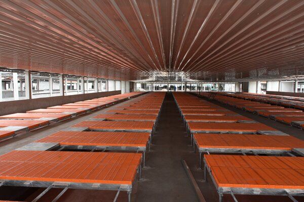 Tấm nhựa lót sàn chuồng trại chăn nuôi