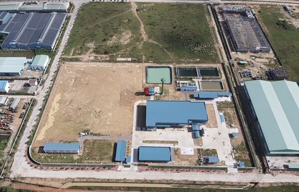 Thi công nhà máy giết mổ gia súc