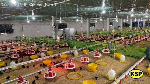 Thiết bị sưởi – Heater L.b.white Guardian