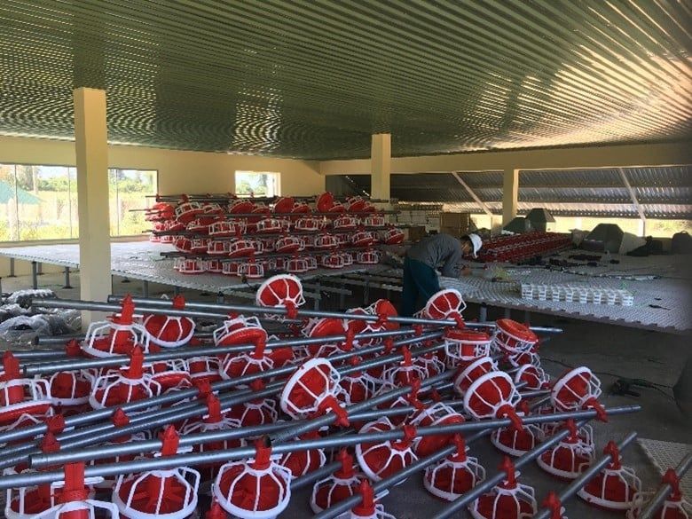 Thiết bị trại gà