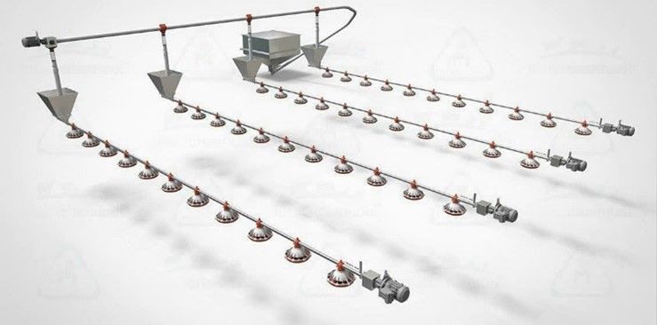 Thiết bị trại gà