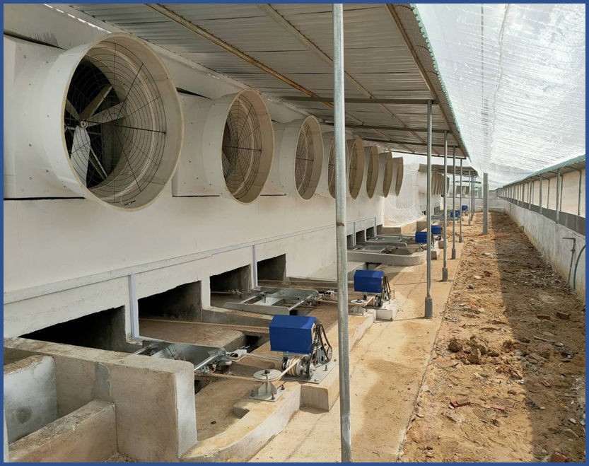 Thiết bị trại vịt