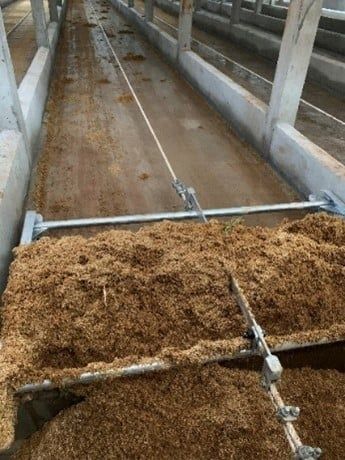 Thiết bị trại vịt