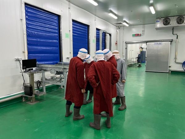 Hệ thống lạnh – kho lạnh