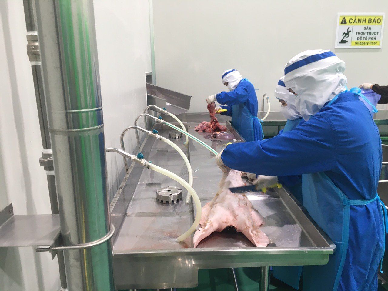 Hệ thống chế biến heo, gà, tôm
