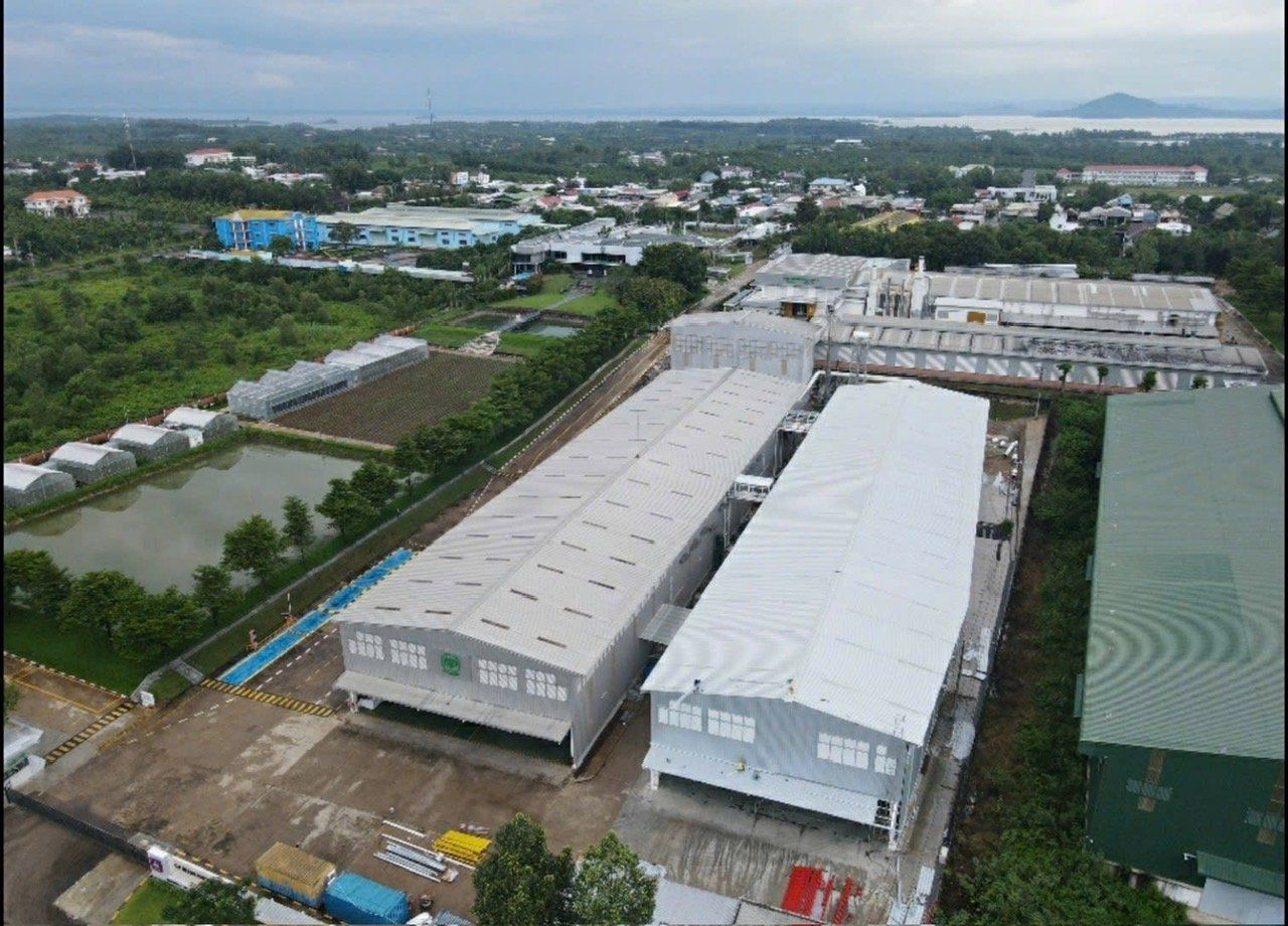 Xây dựng nhà máy sấy hạt ngô - CP Seeds Đồng Nai