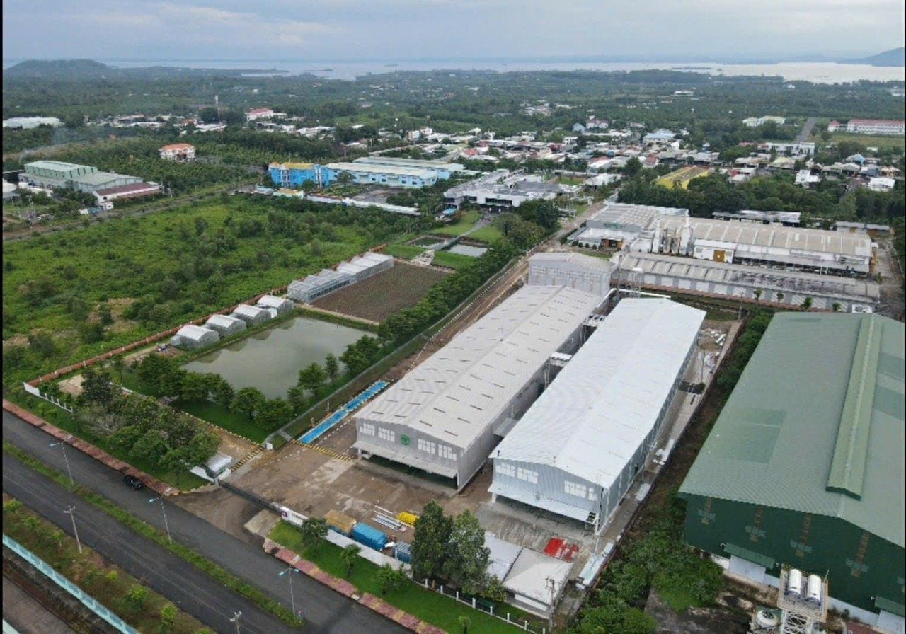 Xây dựng nhà máy sấy hạt ngô - CP Seeds Đồng Nai