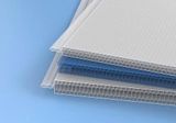  Tấm polycarbonate rỗng làm trần nhà 