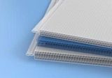  Tấm polycarbonate rỗng làm trần nhà 