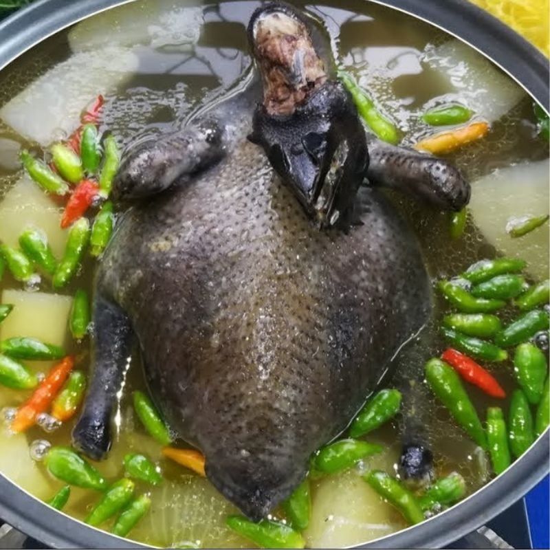  Gà H’Mông Tiềm Ớt Hiểm (Stewed with Spicy Chili) 