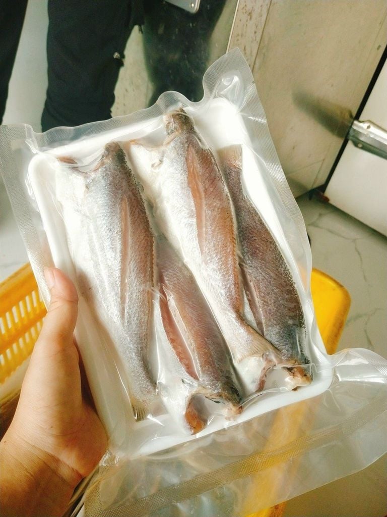 Cá Đù Sóc Nguyên Con 1 Nắng 1Kg