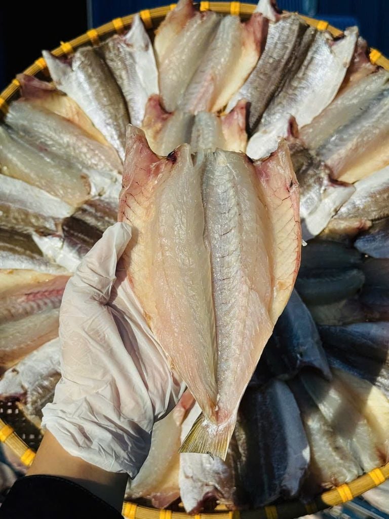 Cá Đù Xẻ 2 Nắng Size Đại 3-5 Con/1KG
