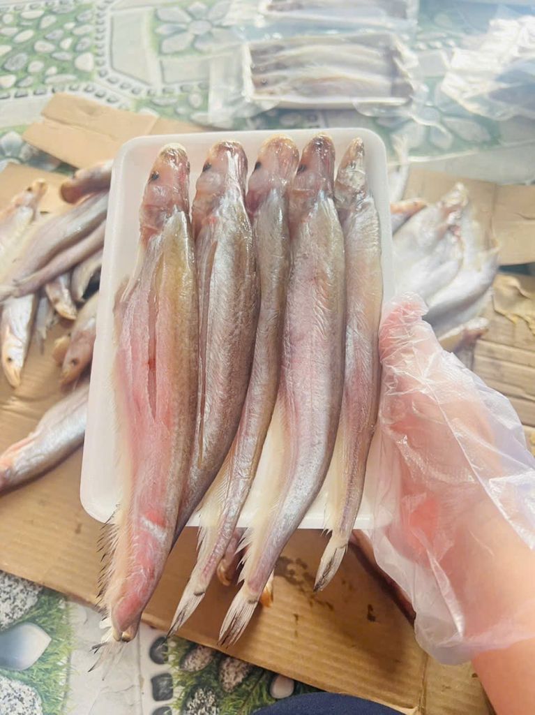 Cá Kết Campuchia 1 Nắng - 500Gr