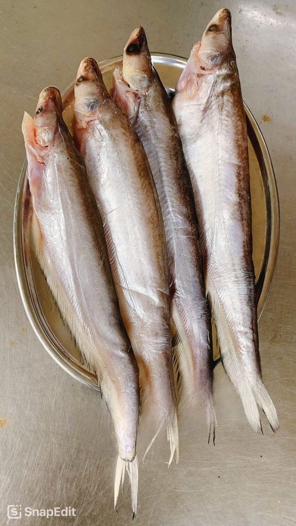 Cá Kết Campuchia 1 Nắng - 1Kg