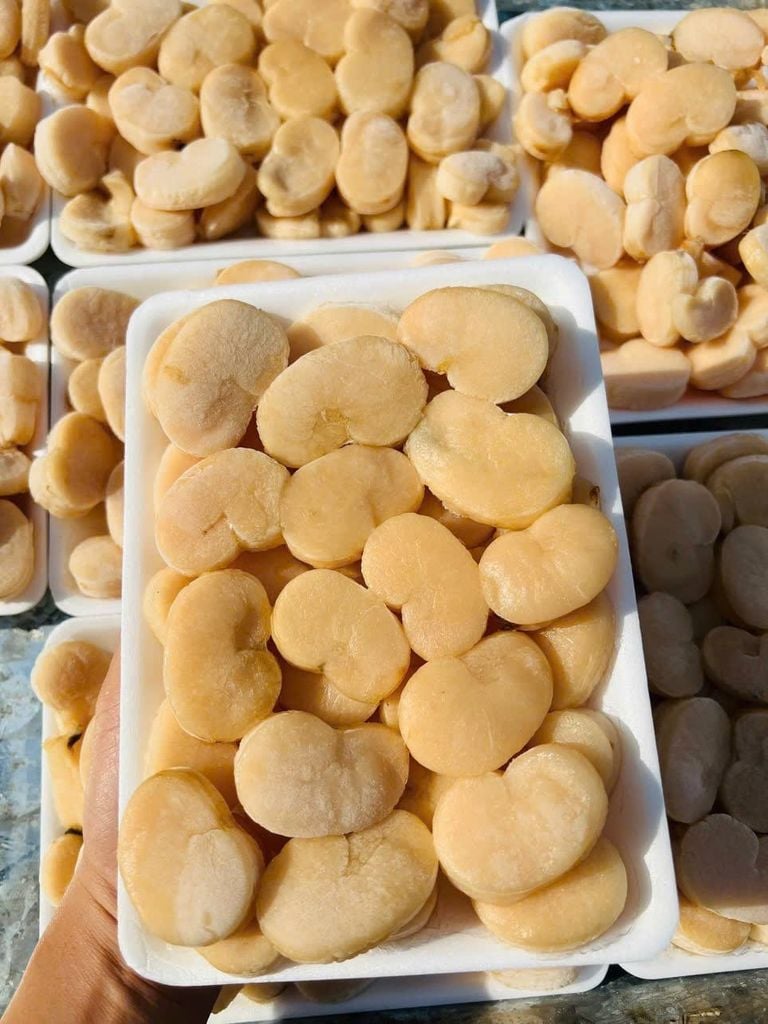 Cồi Sò Mai Giấy - 500Gram