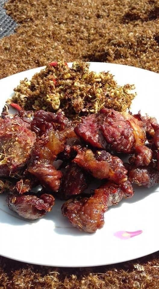 Gầu Bò 1 Nắng Tặng Kèm Muối Kiến Vàng -500G