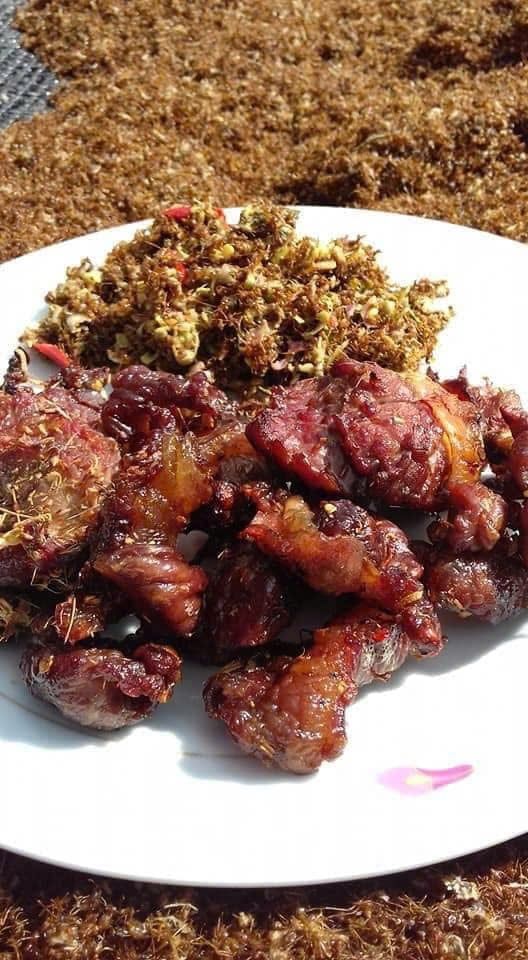 Gầu Bò 1 Nắng Tặng Kèm Muối Kiến Vàng - 1Kg