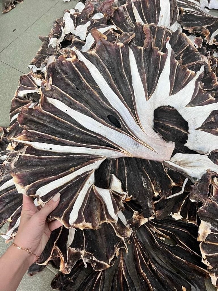 Khô Cá Đuối Đen Loại 1 - 1Kg