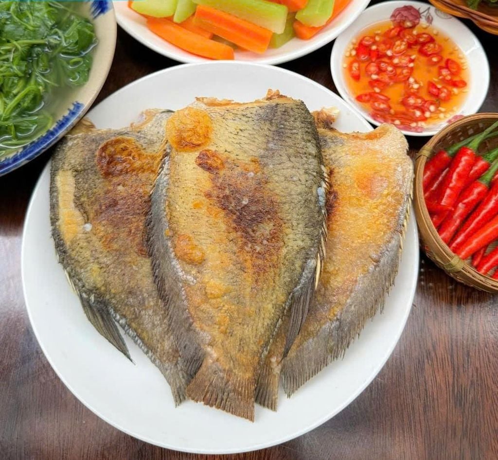 Cá Sặc Campuchia 1 Nắng Size Đại